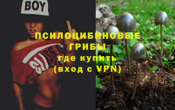 PSILOCYBIN Балабаново